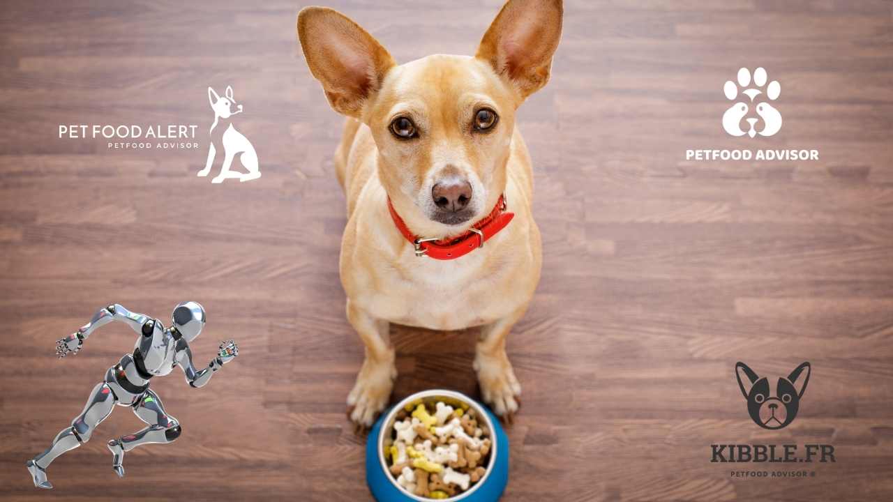 Vous recherchez de bonnes patées pour les chiens ?
