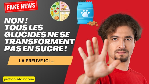 Pourquoi le taux de glucides ne suffit pas pour évaluer la qualité des croquettes pour chiens et chats